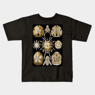 Sand Dollars Echinidea by Ernst Haeckel Kids T-Shirt